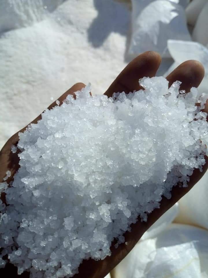 Raw Sea Salt for Sale Now - Pure, Natural, and Versatile