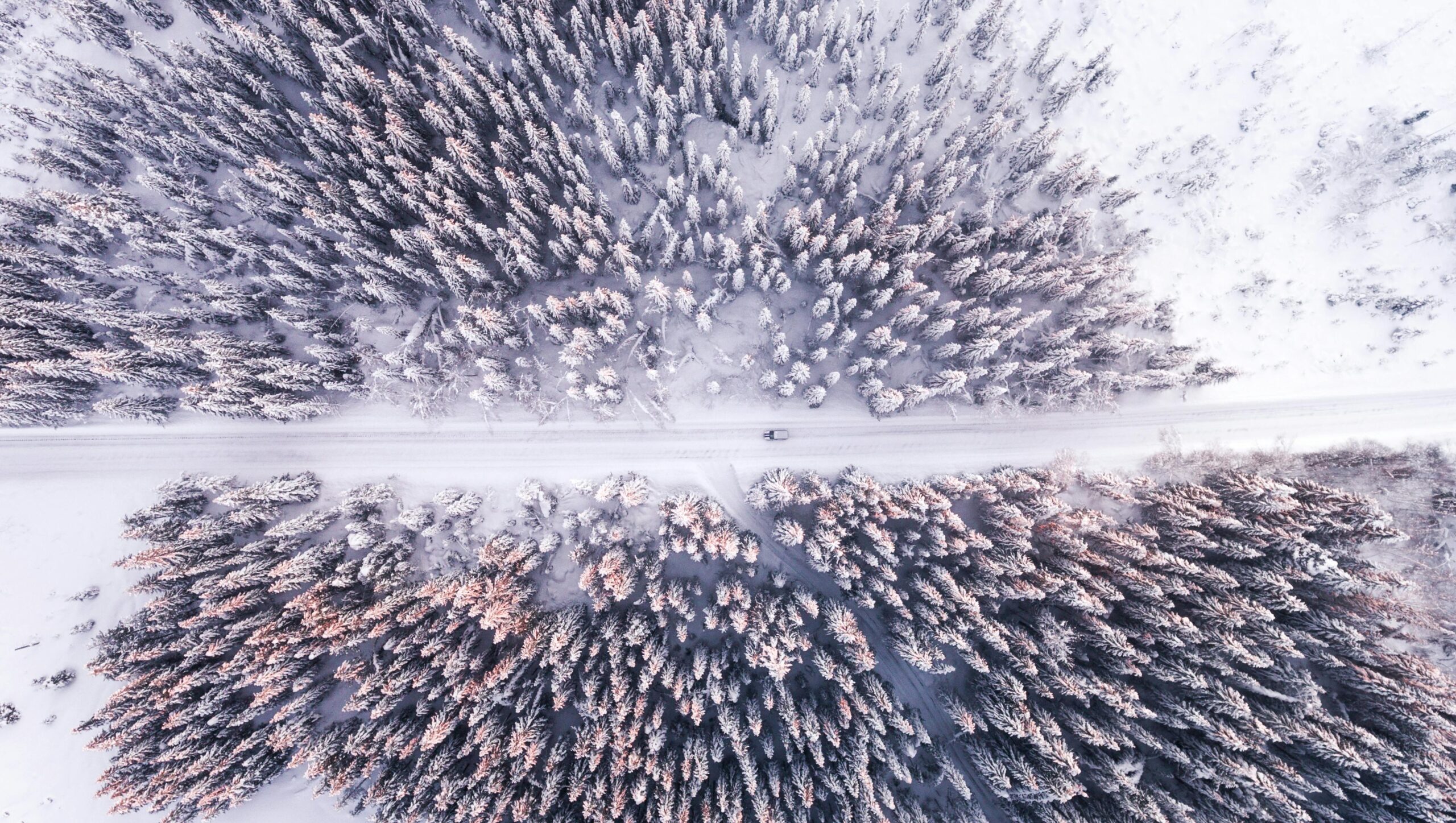 Pure & Reliable: Choose the Best Road Salt Manufacturer in Europe 1 Aerial view of a road passing through a dense forest during autumn