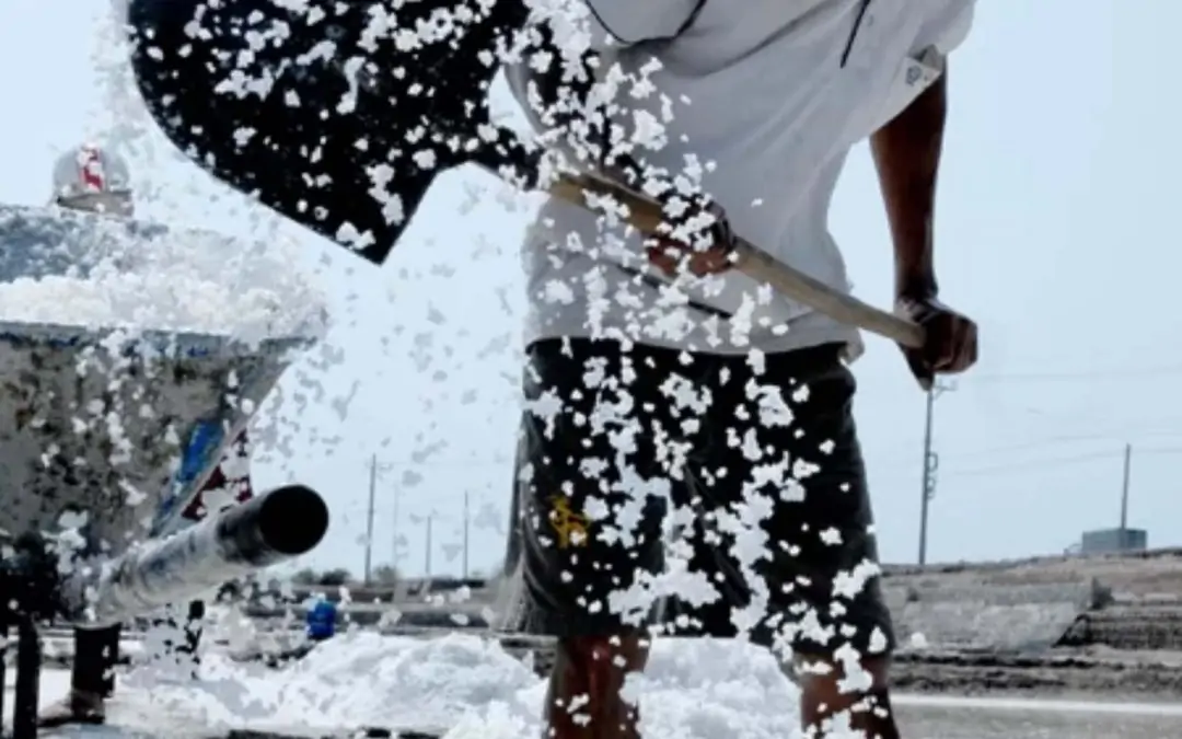 Best Rock Salt for Ice Types, Grades and How to Choose